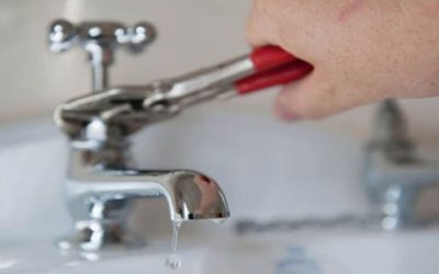 What to Do in a Plumbing Emergency Before the Plumber Arrives